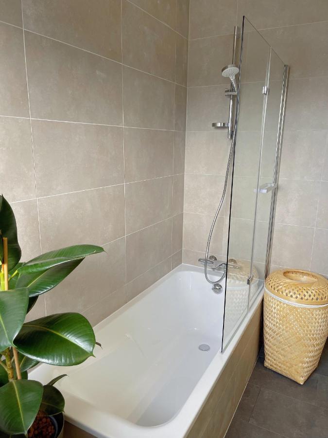 Appartement Tres Cosy A 5 Min Aeroport Geneve Ферней-Вольтер Экстерьер фото
