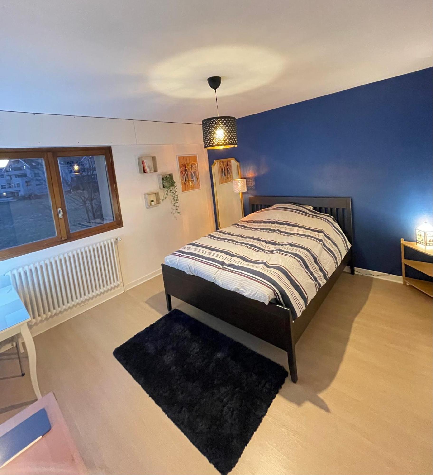 Appartement Tres Cosy A 5 Min Aeroport Geneve Ферней-Вольтер Экстерьер фото
