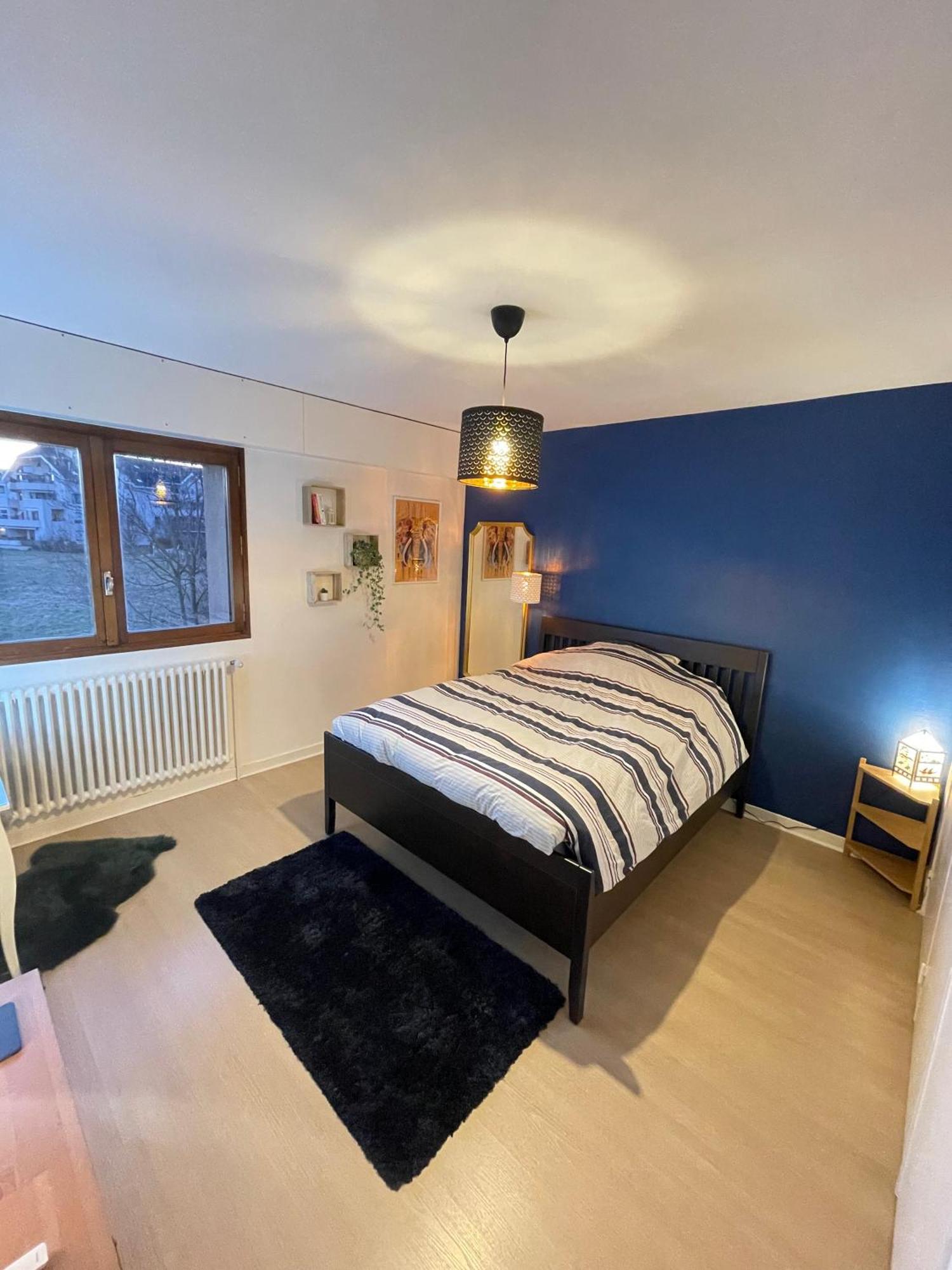 Appartement Tres Cosy A 5 Min Aeroport Geneve Ферней-Вольтер Экстерьер фото